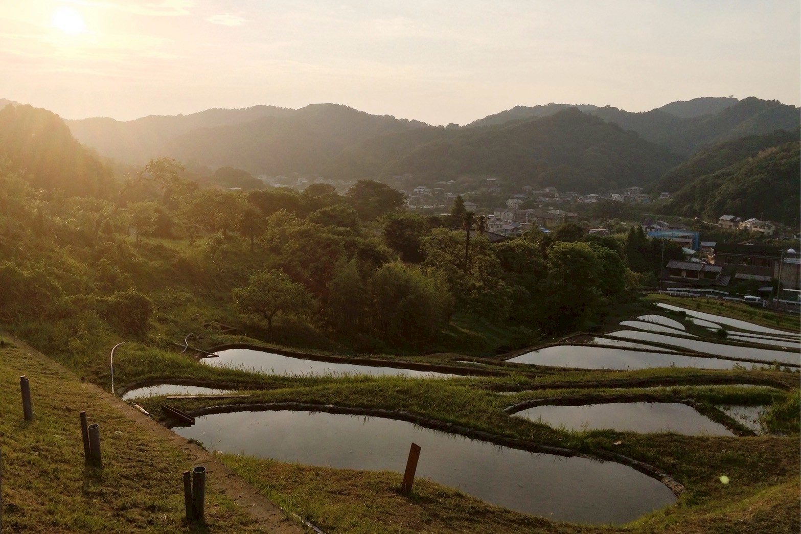 山あいの棚田